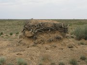 Filename=m_Old_Burial_Site_5.jpg
Filesize=117KiB
Dimensions=800x600
Date added=Sep 11, 2019 m_Old_Burial_Site_5.jpg