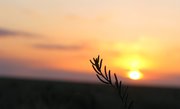 m_Kazakhstan_Dzhusaly_Sunset_36.jpg