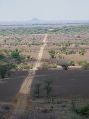 Kenya_2010_Cut_Line_2.jpg