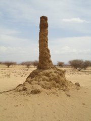 Kenya_2010_Termite_nest_3.jpg