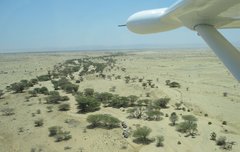 Kenya_2010_Vibs_from_the_air_2.jpg