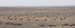 Kenya_2011_Kurkum_3.jpg