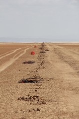 Kenya_2011_Line_on_Subkha.jpg