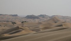 Oman_2009_Central_sandune_area_1.jpg