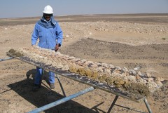 Uphole_Drill_sample_Tray_1.jpg