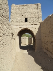 Oman_Adam_Nov_2014_IMG_0507-s.jpg