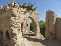 Oman_Adam_Nov_2014_IMG_0509-s.jpg