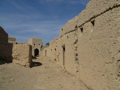Oman_Adam_Nov_2014_IMG_0510-s.jpg