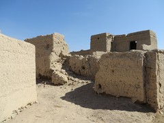 Oman_Adam_Nov_2014_IMG_0514-s.jpg