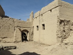 Oman_Adam_Nov_2014_IMG_0515-s.jpg