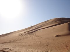 m_Front_crew_in_dunes_8.jpg