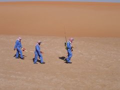 m_Survey_walking_3.jpg