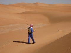 m_Survey_walking_9.jpg