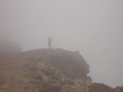 m_Gorilla_in_the_mist.JPG