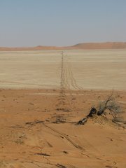 m_Seismic_-_Oman_-_2008_LIne_Across_Subkha_1.jpg