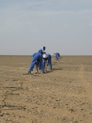 Oman_Front_crew_laying_geophones_2.jpg