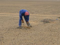 Oman_Planting_Geophones_5.jpg