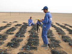 Oman_SMT_Testing_2.jpg
