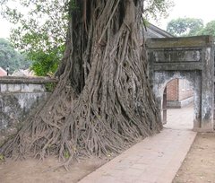 Hanoi_Temple_of_Literature_7.jpg
