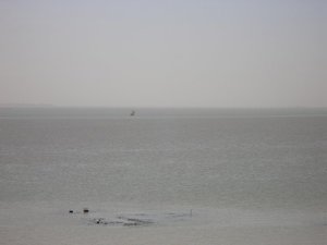 m_Nile3_-_white_blue_line.JPG