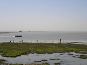 m_Nile_4_swamp.JPG