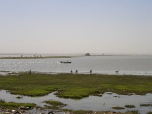 m_Nile_5_swamp.JPG