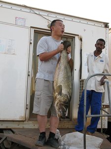 Sudan_2009_PC_and_Fish.jpg