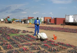 Sudan_2009_SMT_Testing_Geophones_4.jpg
