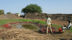 Sudan_2009_SMT_testing_Marsh_Phones_1.jpg