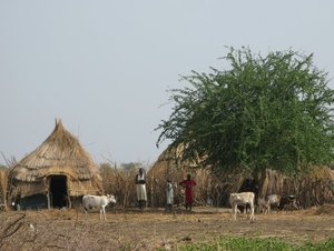 Sudan_2009_Village_huts_and_villagers.jpg