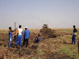 m_Line_clearing_and_survey_in_wet_area_2.JPG