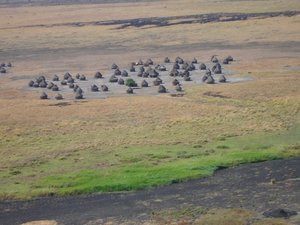 m_Local_Village__19.JPG