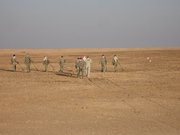 m_Receiver_Main_Corridor_Mine_Clearing_1.JPG