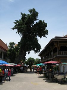Filename=m_Wat_Hong_Patumthani_Market_Area.JPG
Filesize=91KiB
Dimensions=600x800
Date added=Sep 20, 2019 m_Wat_Hong_Patumthani_Market_Area.JPG