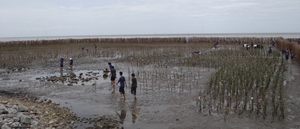 BangPu_Military_Base_Mangrove_Planting_10.jpg