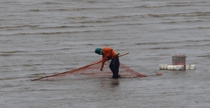Close_shore_netting_5.jpg