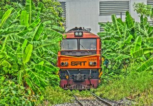 BangSue2013_4107_Comin_down_the_track_1.jpg