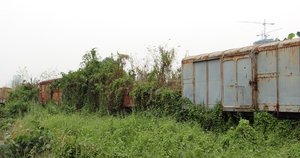 BangSue2013_Claimed_by_the_jungle_2.jpg