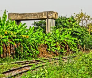 BangSue2013_In_the_Shadow_of_the_Hopeless_Expressway_3.jpg