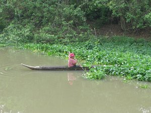 m_Klong_Saen_Saeb_Harvesting_Water_Greens_1.JPG
