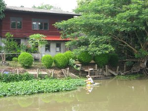 m_Klong_Saen_Saeb_Harvesting_Water_Greens_3.JPG