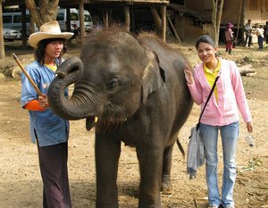 Filename=m_Elephants_9.jpg
Filesize=148KiB
Dimensions=800x623
Date added=Sep 20, 2019 m_Elephants_9.jpg
