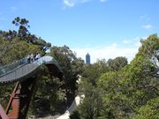 m_Kings_Park_Tree_Walk.JPG