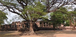 m_NEApril2015_Pimai_Crop_DSCN1601.jpg
