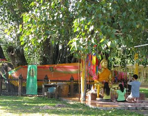 Prachinburi_Mahosot_Ancient_Bodhi_Tree_-_Worship_at_the_Shrine.jpg