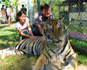 ChiangMai_2010_Tiger_Farm_Chiang_Mai_1.jpg