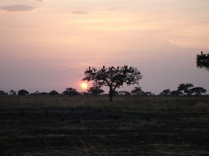 Filename=m_Sunset_DSC00006.JPG
Filesize=37KiB
Dimensions=640x480
Date added=Oct 15, 2019 m_Sunset_DSC00006.JPG
