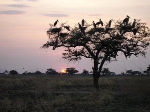 m_Sunset_DSC00011.JPG