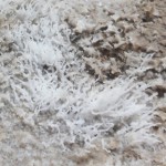 Fine salt formation 2