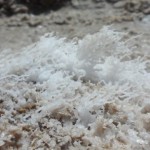 Fine salt formation 4